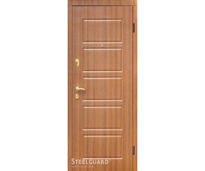 Двери DG-21