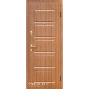 Двери DG-21