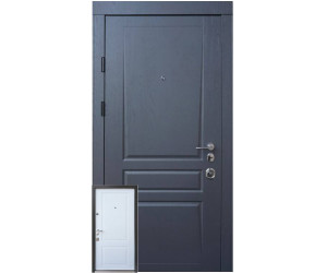 Вхідні Двері Авангард Тріно 2 кольори Qdoors