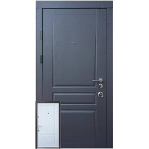 Вхідні Двері Авангард Тріно 2 кольори Qdoors