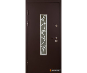 Вхідні двері модель Solid Glass (колір Ral 8019T / vinorit) комплектація Defender